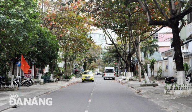 Nằm giữa trung tâm thành phố nhưng đường Phan Bội Châu không quá ồn ào do có lượng xe cộ lưu thông ít.